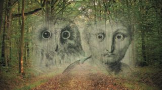 Faint image of an owl and mans face in the bush