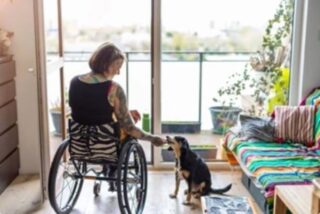 Young woman in a wheelchair at home feeding her dog